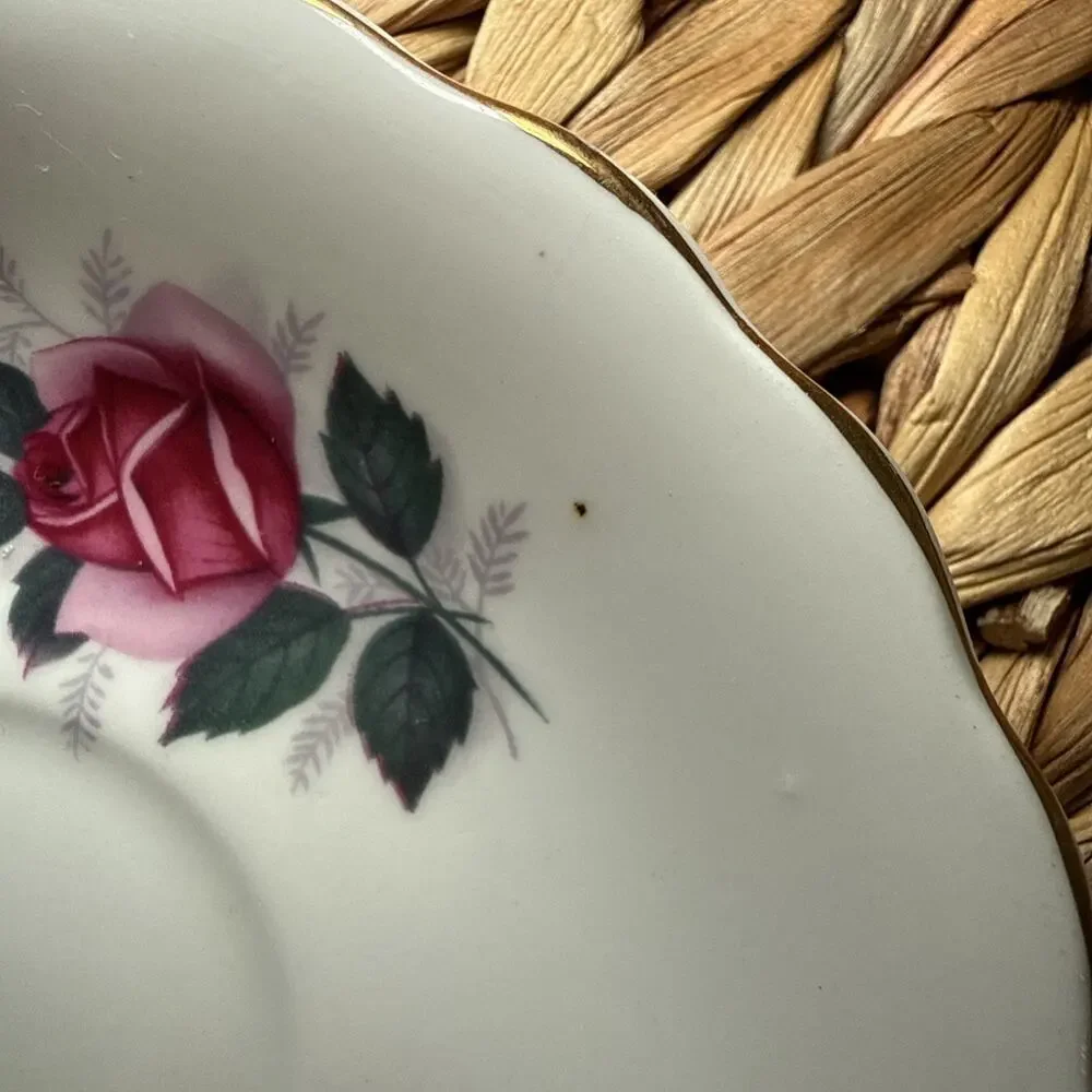 Royal Dover Bone China Saucer Pink Roses England Vintage Scalloped Floral 5.5